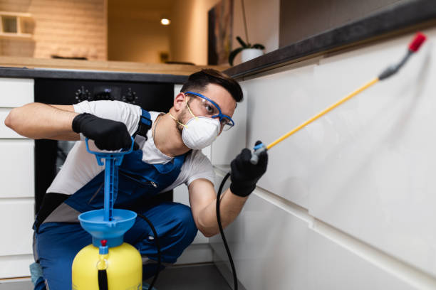 Best Termite Control Services  in Hauula, HI