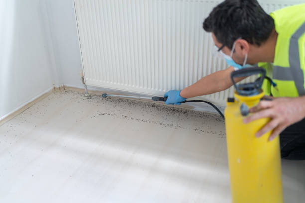 Best Exterminator Services  in Hauula, HI